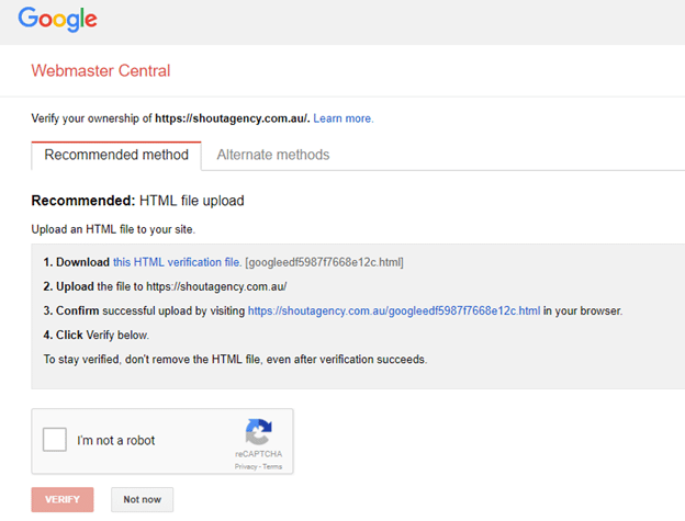 verify search console