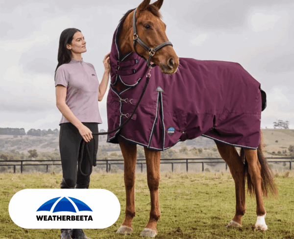 Image of feca4eb4e912acf99737ce9913780faa23f2e341 e1770853515135